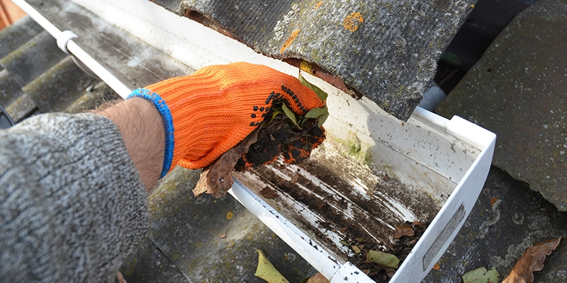 Gutter Cleaning and Maintenance